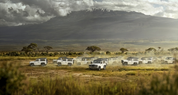 Photograph Tom Wittkemper Landrover Zebra Mob on One Eyeland